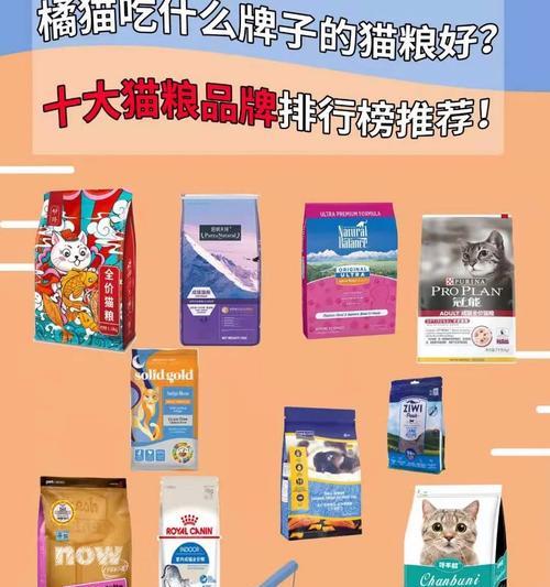 橘猫的饮食偏好是什么？哪些猫粮最适宜橘猫？