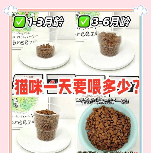 除了猫粮外，还可以给猫咪喂食哪些食物？喂食时应注意什么？