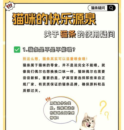 除了猫粮外，还可以给猫咪喂食哪些食物？喂食时应注意什么？