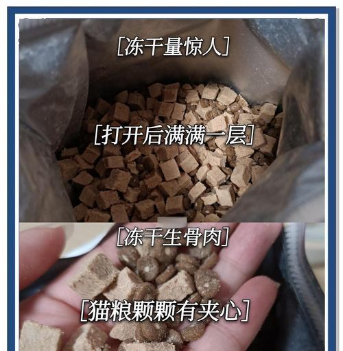 幼猫用处方粮怎么喂食？喵梵思乳鸽猫粮是什么粮？