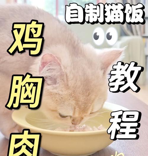 怎么用鸡肉做猫粮教程？步骤详细吗？