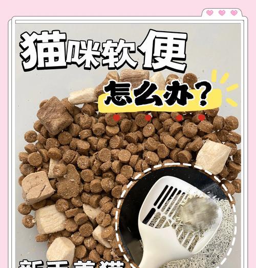 换猫粮后软便如何处理？