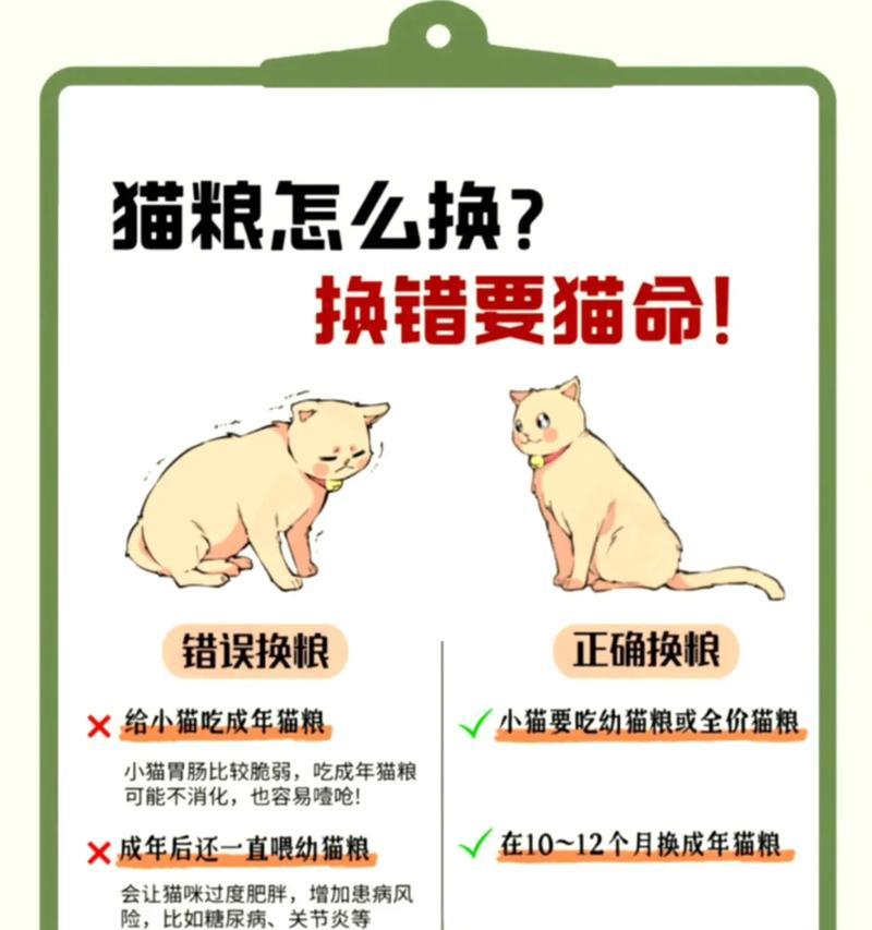 猫咪在猫粮中排便的解决方法是什么？