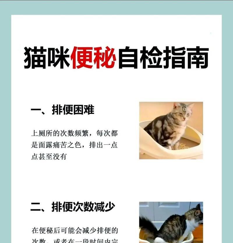 猫咪在猫粮中排便的解决方法是什么？
