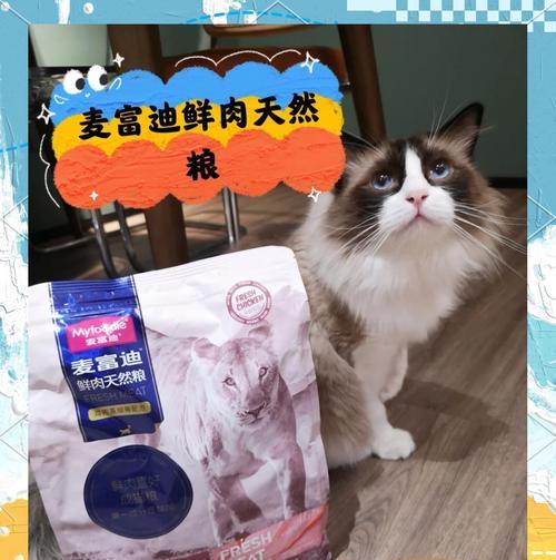 爱心猫粮怎么投标？投标流程是怎样的？