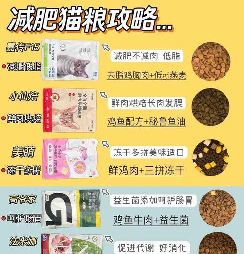 如何控制肥胖猫咪的猫粮摄入量？