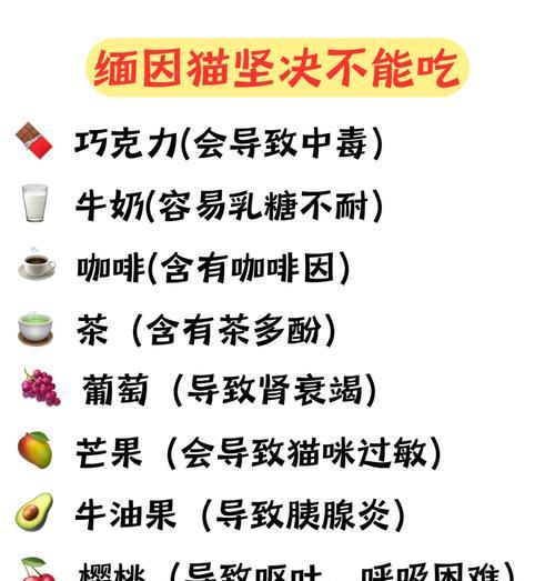 缅因猫挑食只吃猫粮怎么办？如何调整饮食习惯？