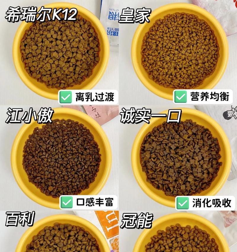 生完孩子的猫咪如何喂食猫粮？