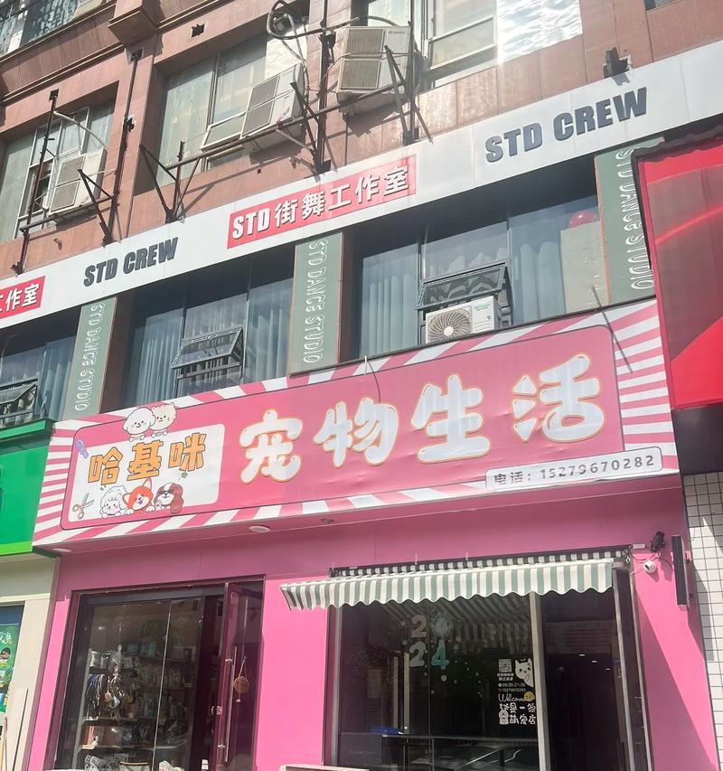 江岸三阳路附近哪里有猫粮卖的地方推荐？有哪些值得信赖的店铺？