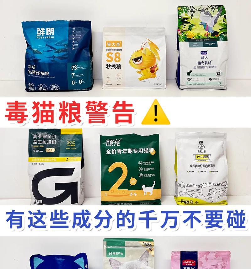 布偶猫需要猫粮吗？如何正确喂食布偶猫猫粮？
