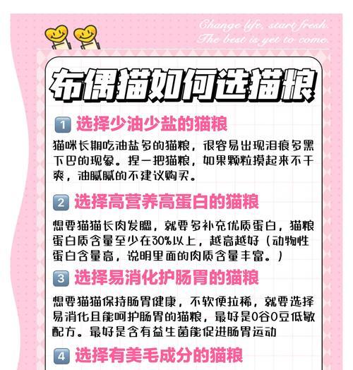 新生布偶猫粮推荐有哪些？喂养时应注意什么？
