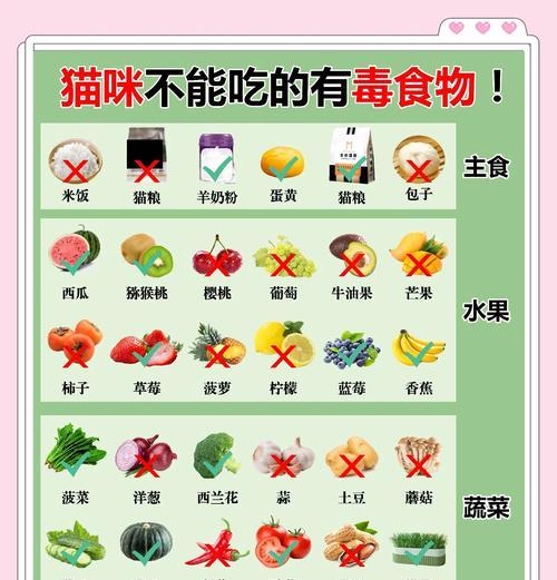 猫咪只吃猫粮怎么办？如何引导猫咪尝试新食物？