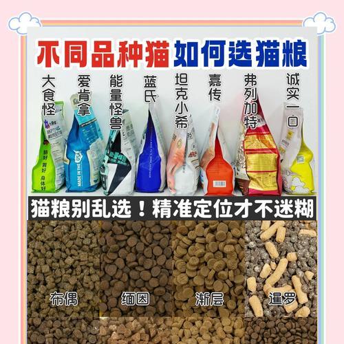 猫咪吃了哪些猫粮容易拉肚子？如何选择合适的猫粮？