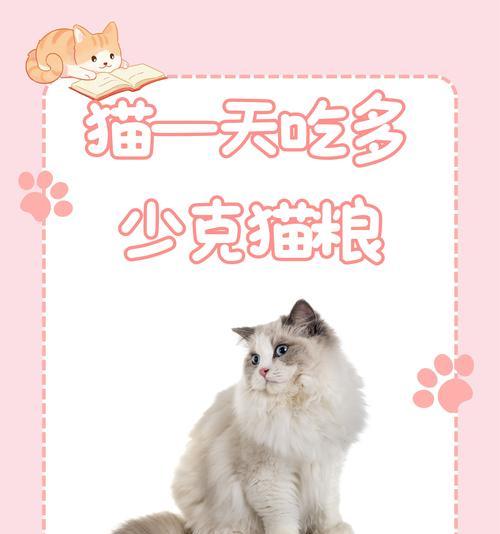 宠物猫粮造假如何举报？举报流程是怎样的？