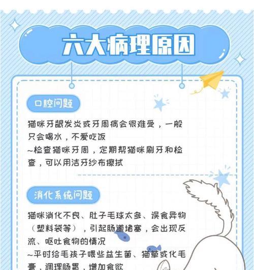 猫咪不吃干猫粮应该怎么办？有无替代方案？