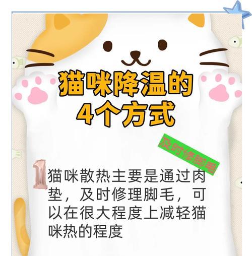 夏季高温下猫粮如何妥善保存？