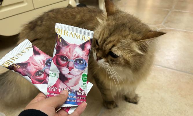 如何辨别皇诺猫粮的真伪？