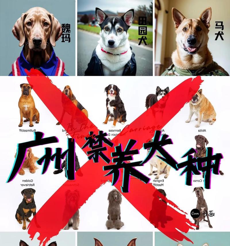 秋田犬与德牧配种的费用是多少？