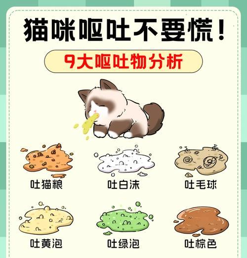 猫咪闻到猫粮就呕吐是什么原因？如何处理？