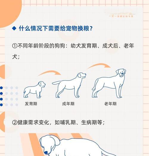 猫咪突然换粮不吃且叫唤的原因是什么？如何解决？