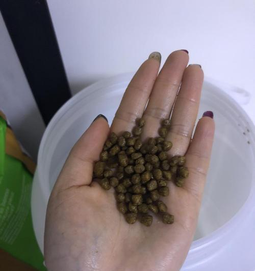 猫粮受潮后会有哪些变化？