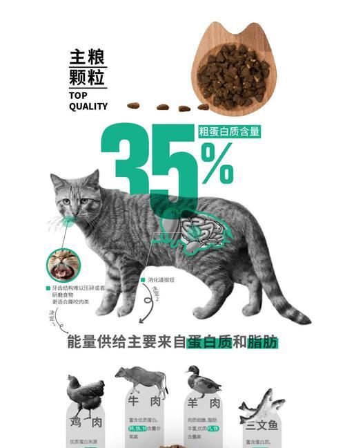 倍内菲金标猫粮线上缺货怎么办？