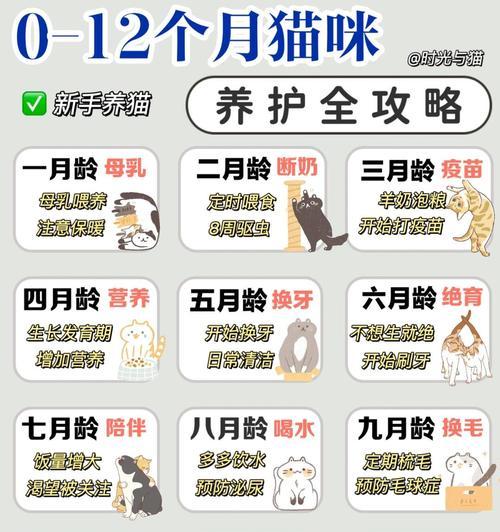 出月的猫咪应该如何喂食猫粮？新妈妈猫的喂养指南是什么？
