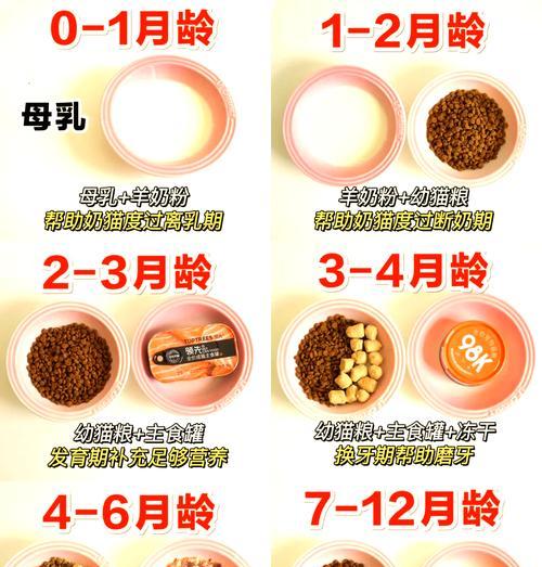 出月的猫咪应该如何喂食猫粮？新妈妈猫的喂养指南是什么？
