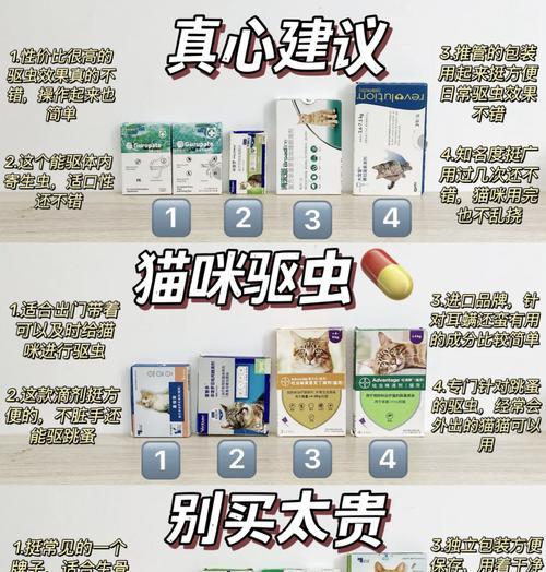 猫粮受潮生虫怎么办？需要使用什么药物？