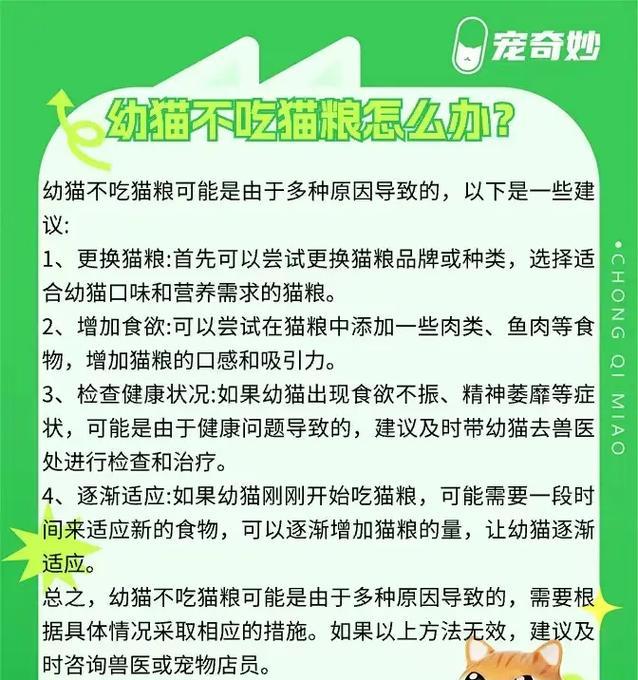 宠物猫长期不吃猫粮会怎样？原因是什么？