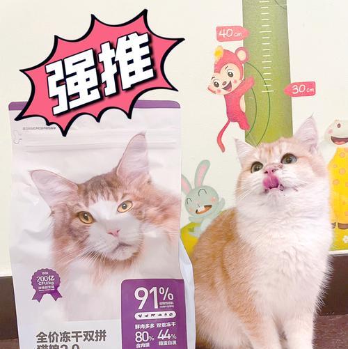 一个多月小猫适合哪种猫粮？