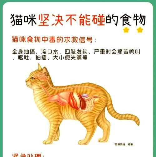 猫咪突然拒食猫粮的原因是什么？
