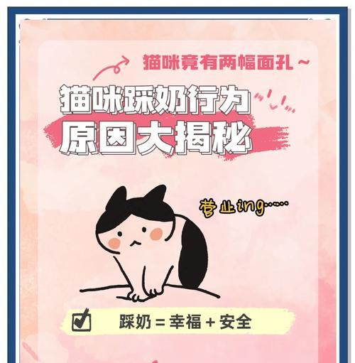 猫踩在猫粮上怎么办？如何防止猫咪踩踏食物？