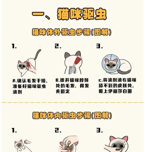 掉落猫粮的清洁方法有哪些？