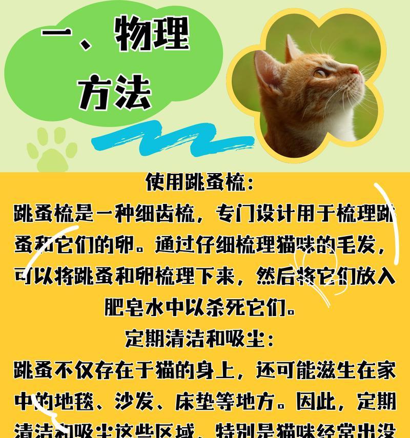 掉落猫粮的清洁方法有哪些？