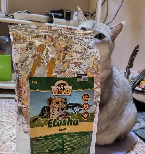 野猫吃过猫粮后如何处理？需要特别注意什么？