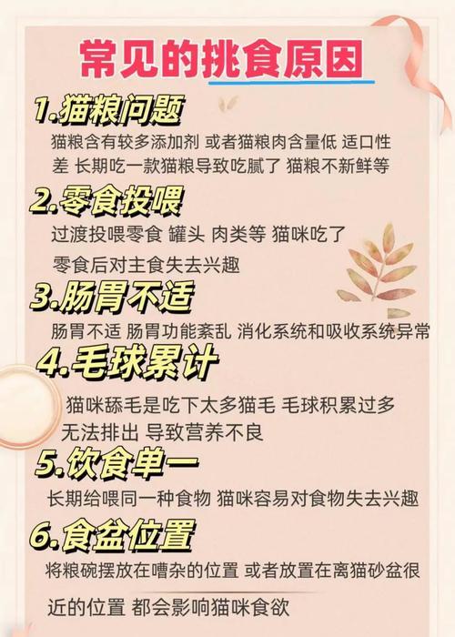 猫咪食用烘焙猫粮后拉稀的原因是什么？