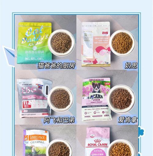 新领养的猫咪应该立即喂猫粮吗？