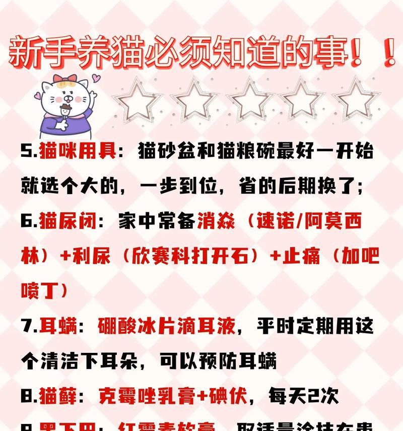 猫咪喝奶粉需要加多少猫粮？