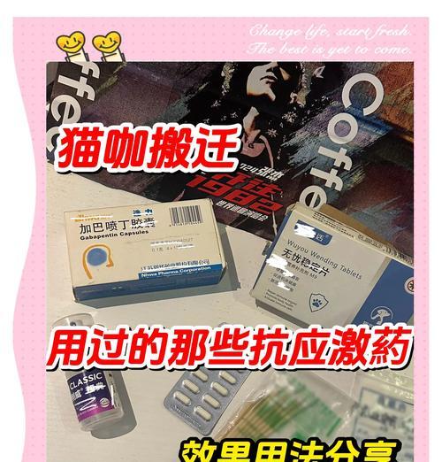 幼猫误食猫粮粉末药物会有什么后果？