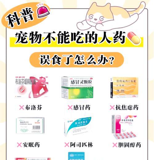 幼猫误食猫粮粉末药物会有什么后果？
