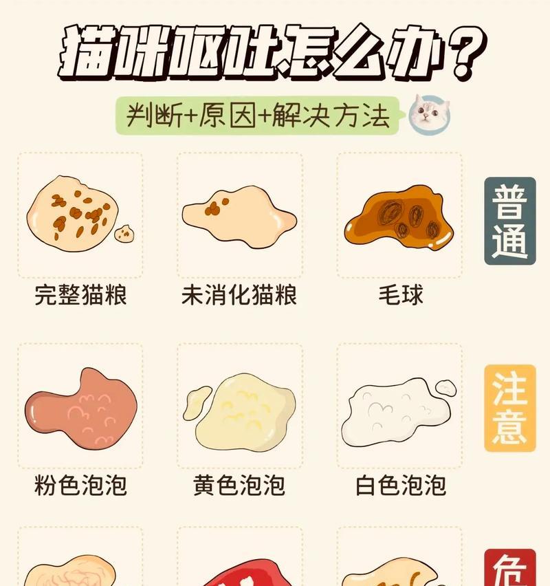 小猫吐猫粮后禁食多久合适？如何处理呕吐情况？