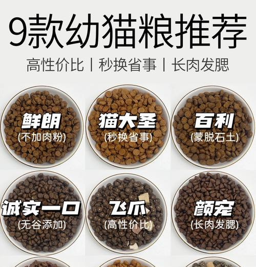 新养猫咪如何适应新猫粮？