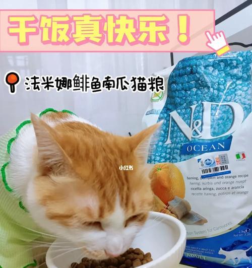 猫粮能掺南瓜吗？为什么有些猫粮不适合与南瓜混合？