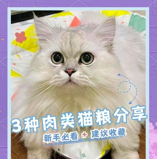 羊肉猫粮怎么样做好吃窍门？如何制作美味的羊肉猫粮？