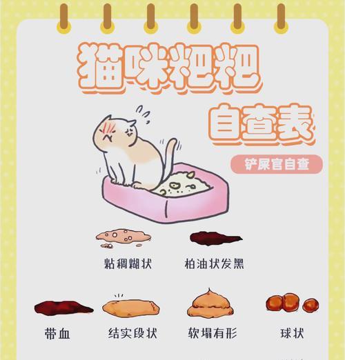 猫吃猫粮后出现粑粑问题？如何解决？