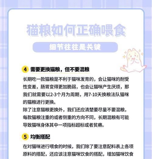 拔牙后猫咪应如何正确喂食猫粮？
