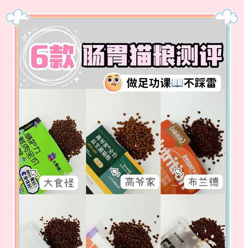 换猫粮便便硬怎么办？需要吃什么药来缓解？