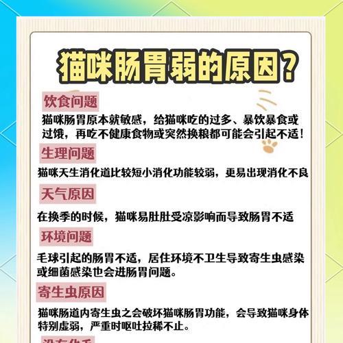 猫粮太油导致腹泻应该怎么办？