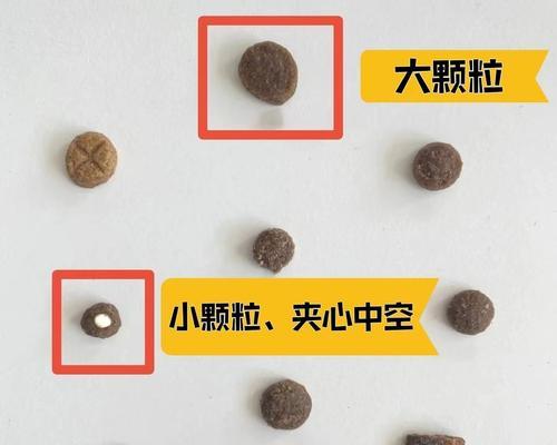幼猫吃全价猫粮会有什么后果？幼猫为何不能吃全价猫粮？